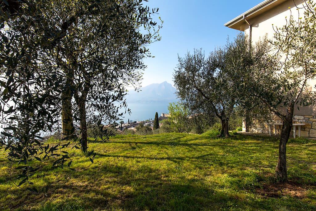 Cosy Torri Apartments Torri Del Benaco Buitenkant foto